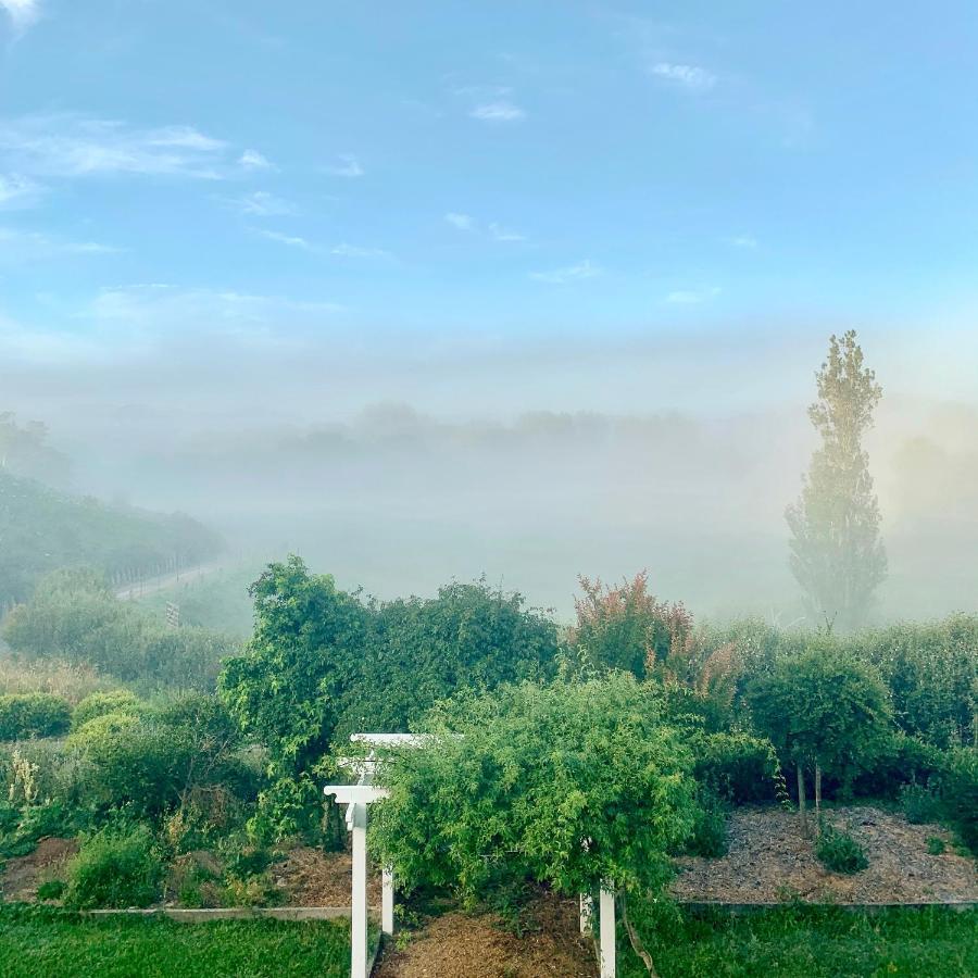 Tracy'S Boutique B&B Farmstay Wellsford Buitenkant foto