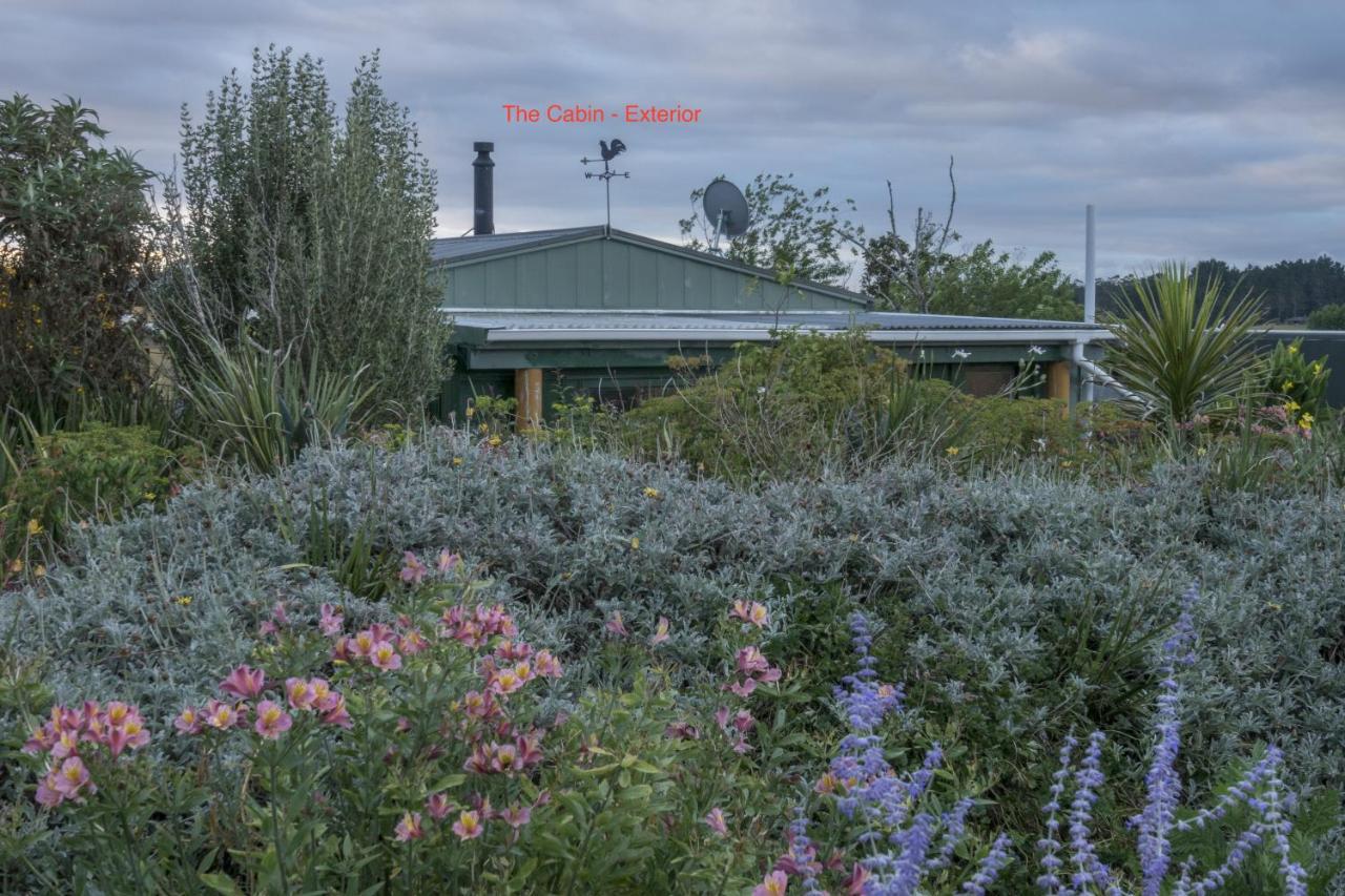 Tracy'S Boutique B&B Farmstay Wellsford Buitenkant foto
